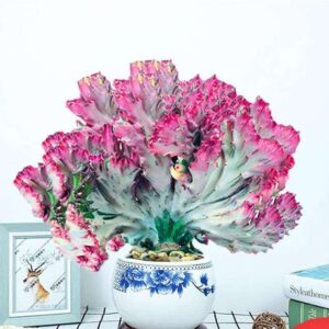 Coral Cactus
