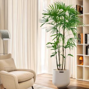 Neon Pothos