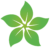 Green Flora